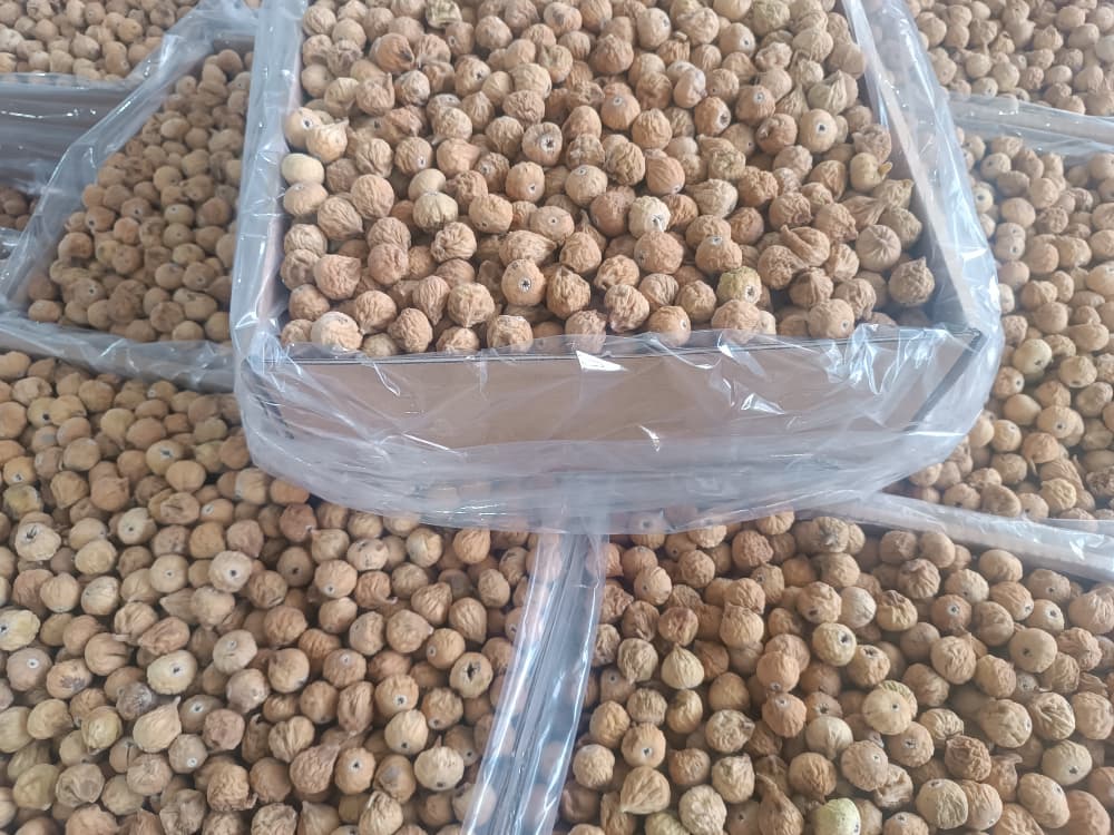 مرکز پخش انجیر ممتاز استهبان + فروش ویژه